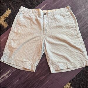 J. CREW Men's Blue & White Striped Shorts